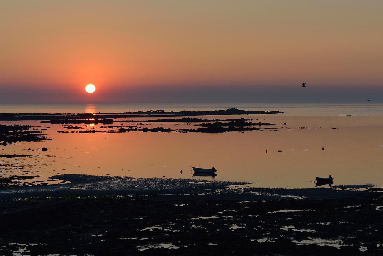 Driftwood Inn Saint Saviour 시설 사진